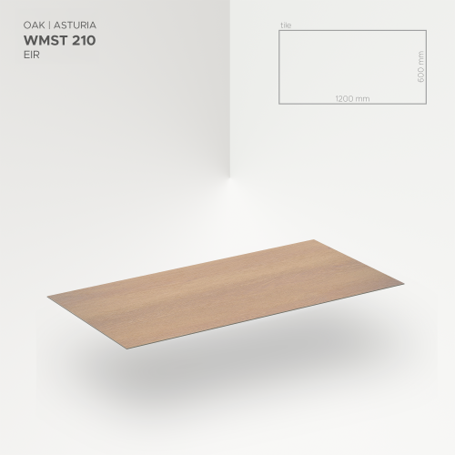 MODEE-Asturia-WMST210 (2).png