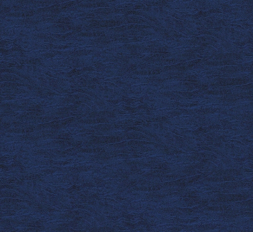 ter009_g.0x950.jpg