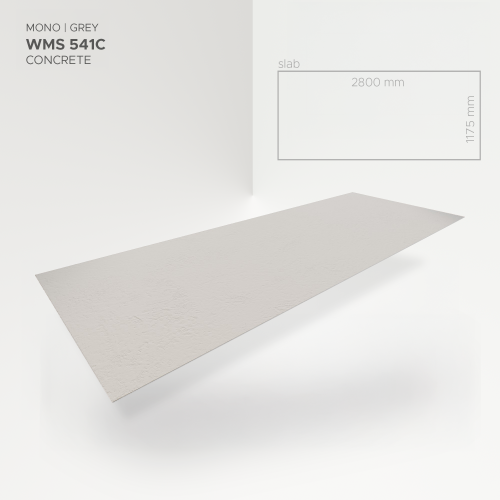 MODEE-Mono-Grey-WMS541C (1).png