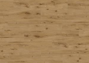 Podłoga winylowa  ter Hürne  Wood Edition Dąb York Deska