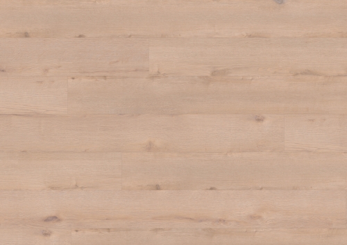 Podłoga winylowa  ter Hürne  Wood Edition Dąb Stettin Długa deska
