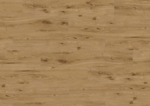 Podłoga winylowa  ter Hürne  Perform  Wood Edition Dąb York Deska