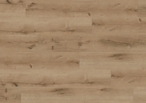Podłoga winylowa  ter Hürne  Perform  Wood Edition Dąb Bilbao Długa deska