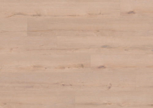 Podłoga winylowa  ter Hürne  Perform  Wood Edition Dąb Stettin Długa deska