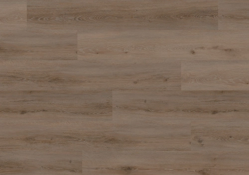 Podłoga winylowa  ter Hürne  Pro Wood Edition Dąb Riga Długa deska
