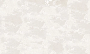 Fototapeta Wall and More CIELO 25104 11A