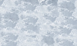 Fototapeta Wall and More CIELO 25104 13C