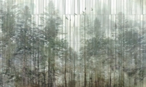 Fototapeta Wall and More TAIGA 25119 14B