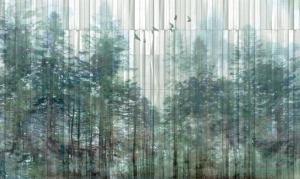 Fototapeta Wall and More TAIGA 25119 17C