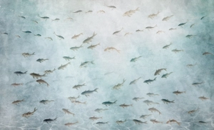 Fototapeta Wall and More LAGUNA 25130 13B