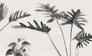 Fototapeta Wall and More VELA 25129 17B