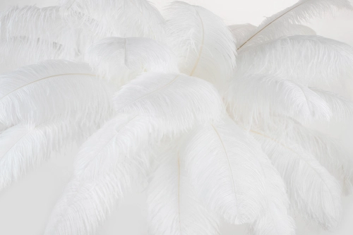 MOOSEE lampa podłogowa TIFFANY 175 biała mosiądz / naturalne pióra