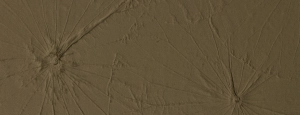 Mata dekoracyjna SIBU FL LOTUS VELVET Mocha