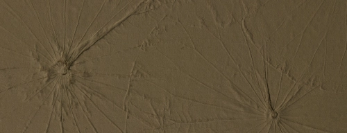 fl-lotus-velvet-mocha-d-1920x740.jpg