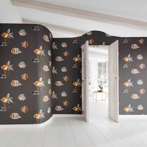 Harlequin Anthozoa Kamanu