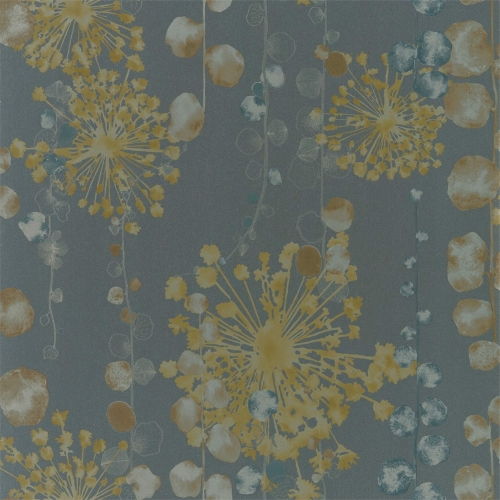 Harlequin Anthozoa Moku 111650