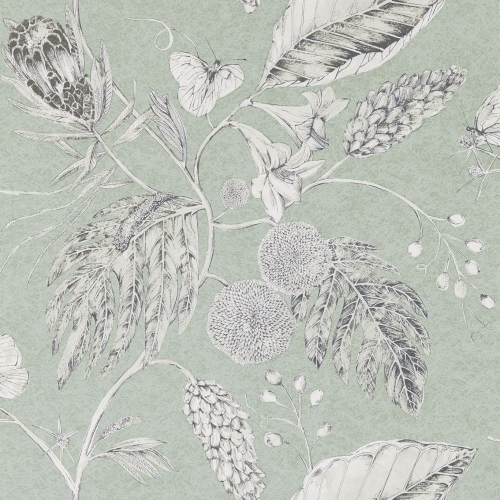 Harlequin Palmetto Amborella 111224