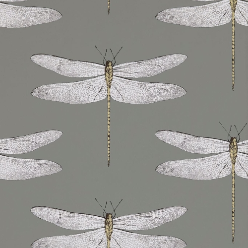 Harlequin Palmetto Demoiselle 111242