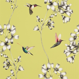 Tapeta dekoracyjna Harlequin Amazilia Amazilia 111061