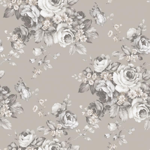 Galerie Abby Rose 4 AF37701