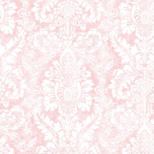 Galerie Abby Rose 4 AF37711