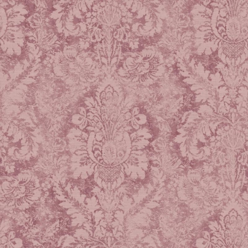 Galerie Abby Rose 4 AF37712