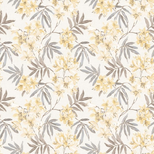 Galerie Abby Rose 4 AF37726