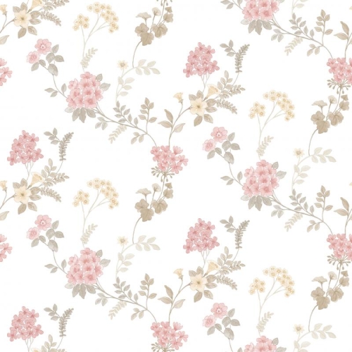 Galerie Abby Rose 4 AF37732