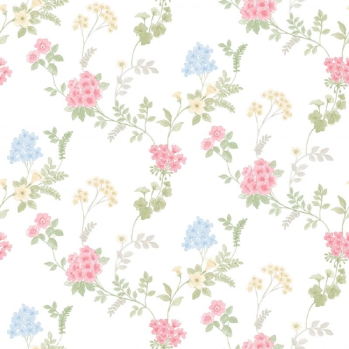 Galerie Abby Rose 4 AF37735