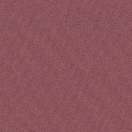 Galerie Abby Rose 4 AF37737