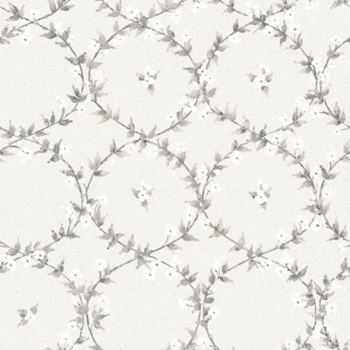 Galerie Abby Rose 4 AF37744