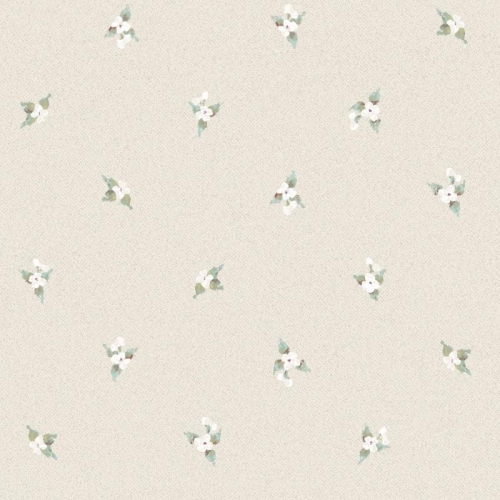 Galerie Abby Rose 4 AF37748
