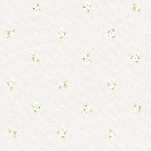 Galerie Abby Rose 4 AF37749