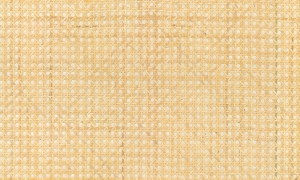 Tapeta dekoracyjna Arte Icons Rattan A85540