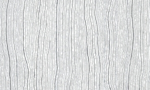 Tapeta dekoracyjna Arte Cameo Timber A54041A