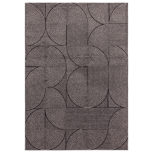 Asiatic Muse MU01