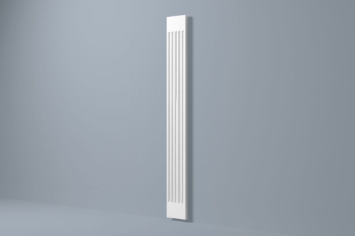NMC PP1